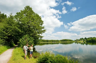 WesterwaldSteig Heisterberger Weiher 3