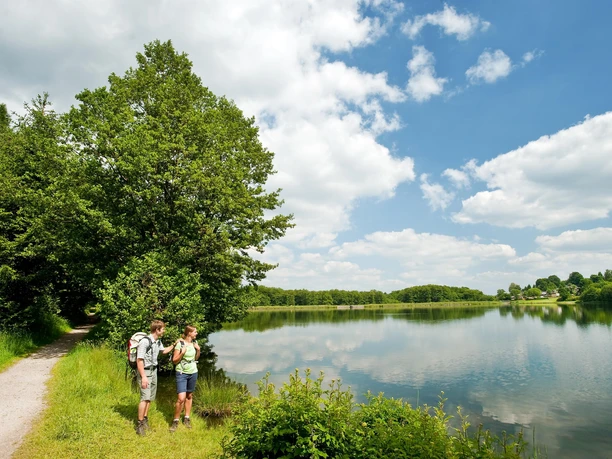 WesterwaldSteig Heisterberger Weiher 3