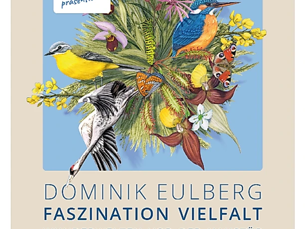 Screenshot 2026-01-15 105058