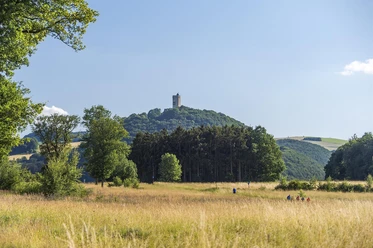 Blick auf Burg Olbrück