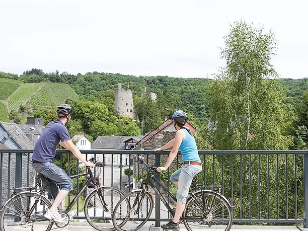 Blick vom Radweg auf die Burg Sommerau
