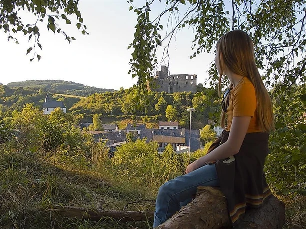 Traumhafter Blick auf die Virneburg