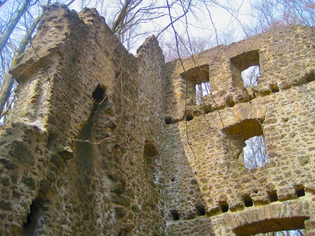 Ruine Neroth