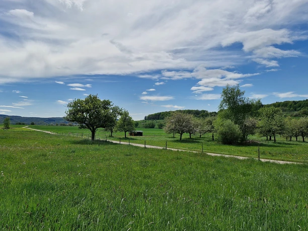 Radweg im Konzer Tälchen bei Obermennig