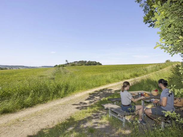 Picknick im Schatten einer alten Eiche