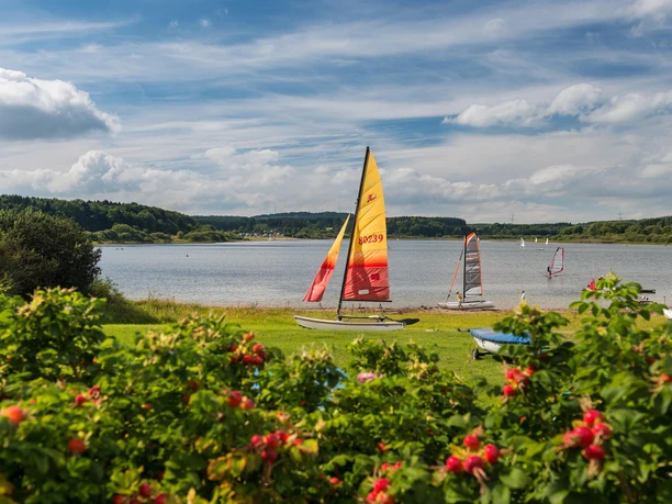 Liegewiese an der Krombachtalsperre bei Driedorf