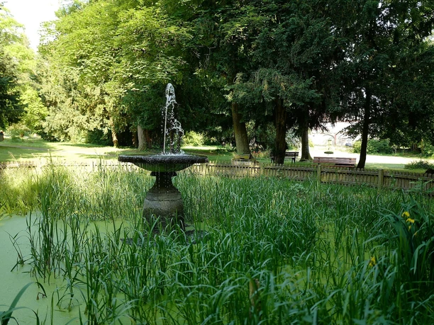 Teich - Burggarten Rabenau
