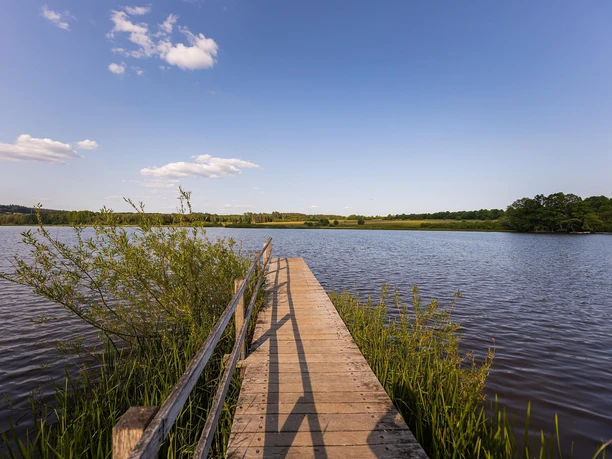 Steg am Jungferweiher