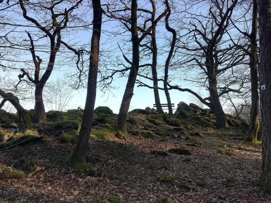 Aussichtspunkt Weissenfels (1)