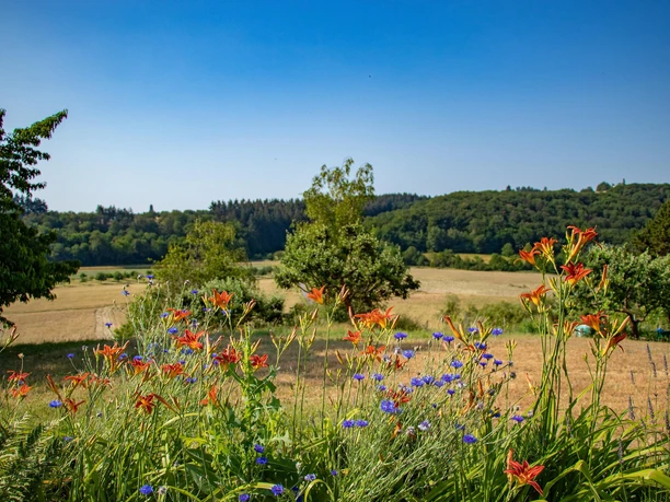 Ausblick Konzer Höhenrunde