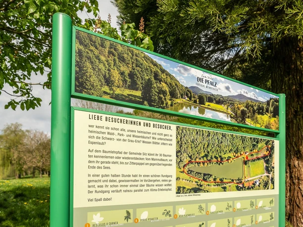 Tafel Baumlehrpfad