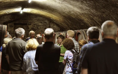 Weinprobe im Gewölbekeller