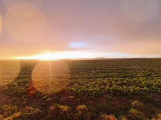 Landschaft in Strotzbüsch