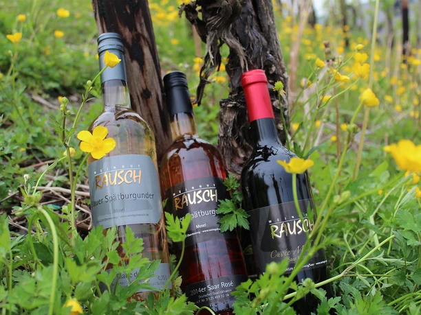 Weingut Rausch Konz-Obermennig (2)