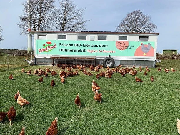 Frische Eier aus dem Hühnermobil