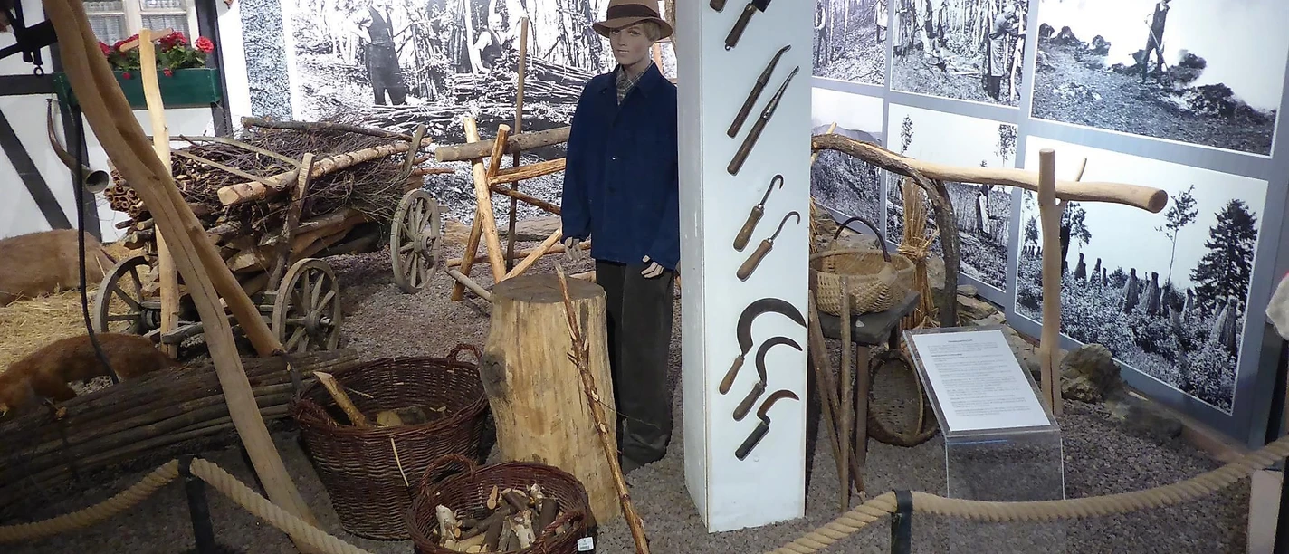 Museum Kellergeschoss