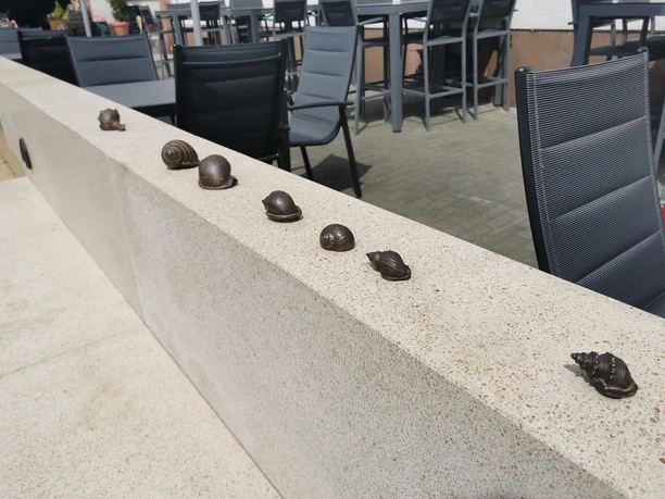 Schnecken auf der rechten Seite