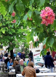 Heimat-und Blütenfest