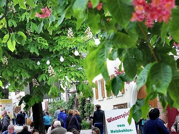Heimat-und Blütenfest