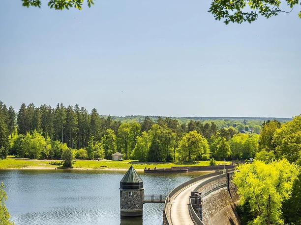 Dreilägerbachtalsperre