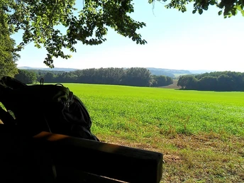 Aussicht kleiner Lückner