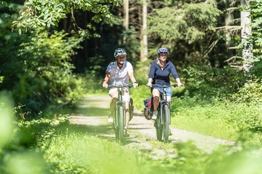 E-Bike Tour