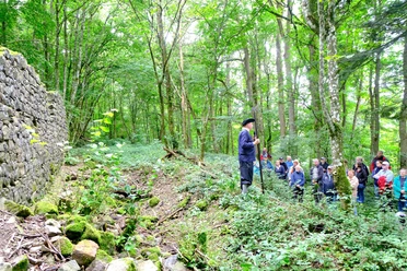 Gästeführung Schlossruine Arenberg2025