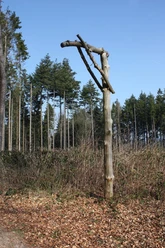 Erlebnispunkt 5 "Galgen"
