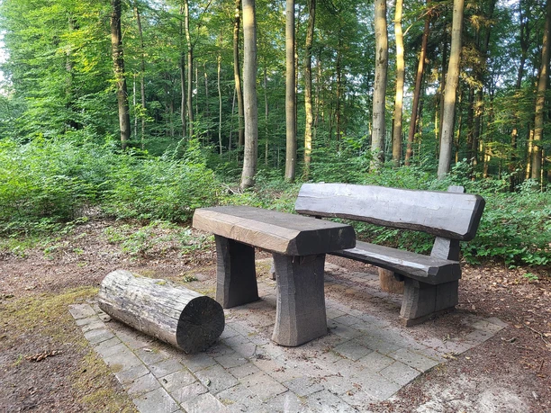 Rastplatz Ringelsberg
