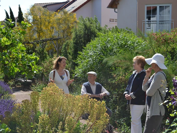 Mediterraner Garten Maikammer