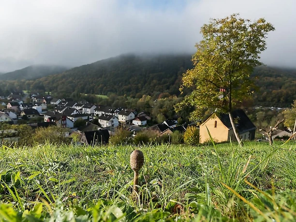 Weitblick