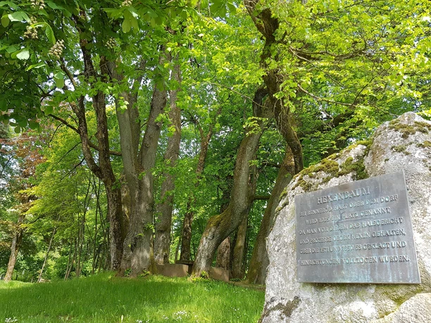 Hexenbaum Infoschild