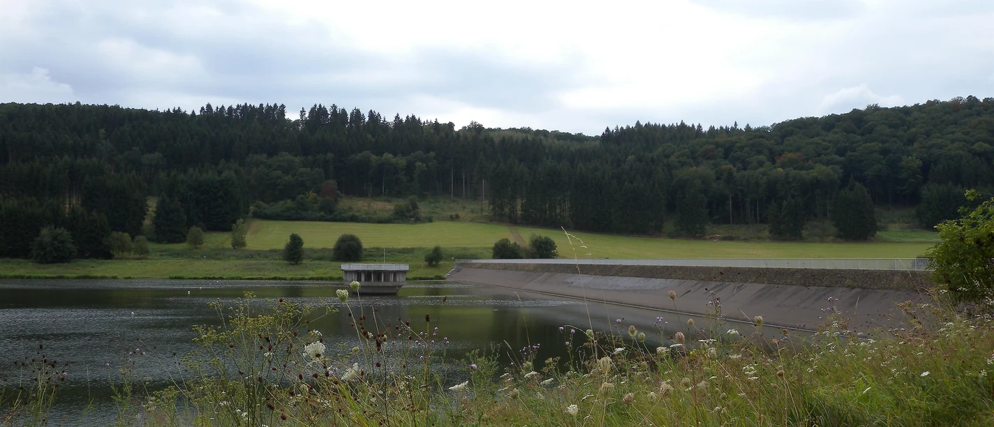 Segeln und Rudern auf dem Aartalsee in Bischoffen