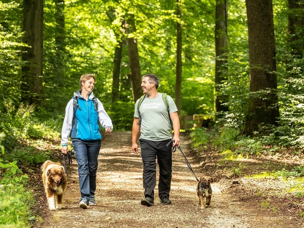 Hüllwald