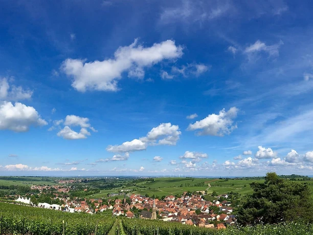 Panoramablick über Birkweiler