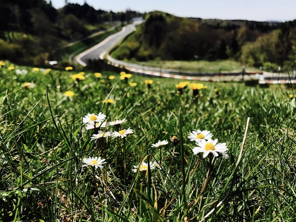 Nordschleife Frühling