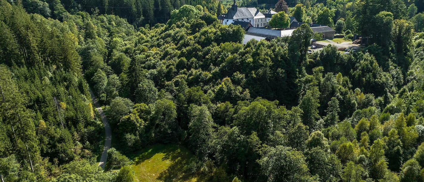 Kloster Reichenstein aus der Ferne