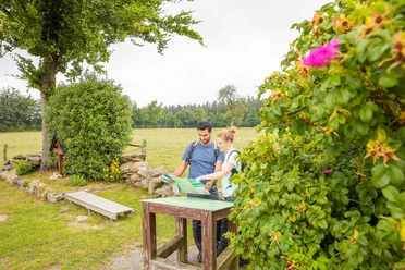 Eifel-Blick Steling