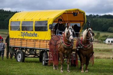 Eifelkutsche