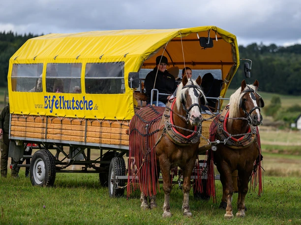 Eifelkutsche Eifelkutsche