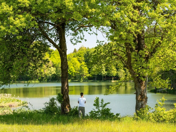 Holzmaar