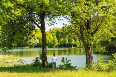 Holzmaar
