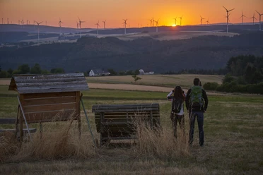 Eifel-Hunsrück-Blick, Traumschleife 5-Täler Tour