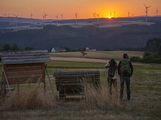 Eifel-Hunsrück-Blick, Traumschleife 5-Täler Tour