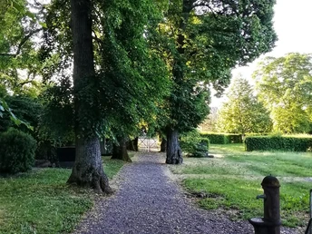 Die alten Linden zählen zu den Naturdenkmälern