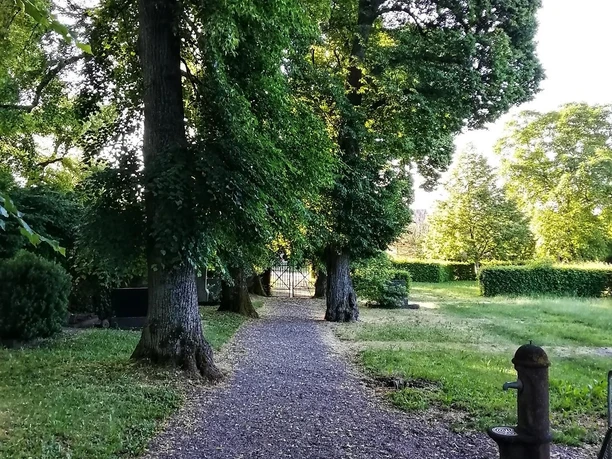 Die alten Linden zählen zu den Naturdenkmälern