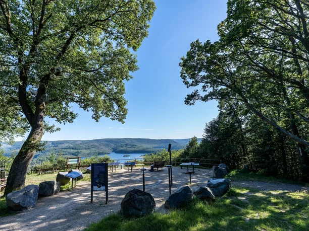 Der SternenBlick "Nachtnatur"