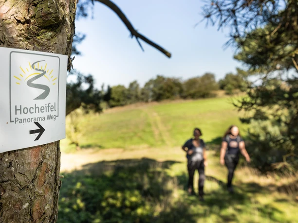 Hocheifel-Panorama-Weg_Hürstnück