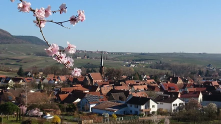 Protestantische Kirche zu Mandelblüte