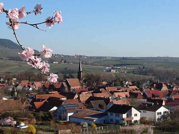 Protestantische Kirche zu Mandelblüte Protestantische Kirche zu Mandelblüte